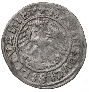 Sigismund I the Old, Halfgroat 1520, Vilnius