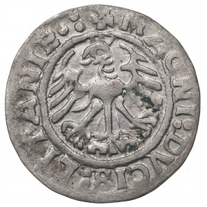 Sigismund I the Old, Halfgroat 1519, Vilnius