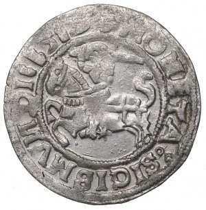 Sigismund I the Old, Halfgroat 1519, Vilnius
