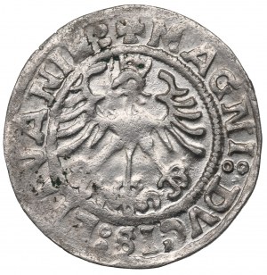Sigismund I the Old, Halfgroat 1519, Vilnius