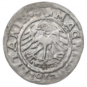 Sigismund I the Old, Halfgroat 1519, Vilnius