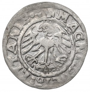 Sigismund I the Old, Halfgroat 1519, Vilnius