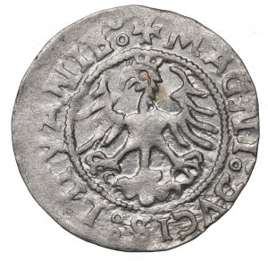 Sigismund I the Old, Halfgroat 1523, Vilnius