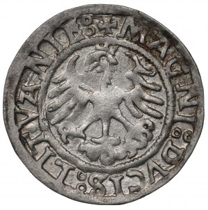 Sigismund I the Old, Halfgroat 1521, Vilnius