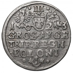 Zygmunt III Waza, Trojak 1623, Kraków - nieopisany