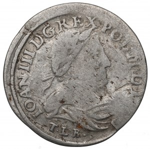 John III Sobieski, 6 groschen 1681, Bromberg