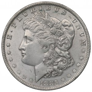 USA, Morgan dollar 1885 O