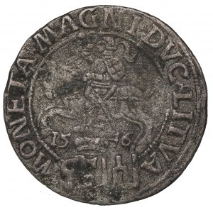Sigismund II Augustus, Penny for the Polish foot 1546, Vilnius - L/LITVA