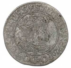 Sigismund I the Old, Groschen for Prussia 1534, Thorn