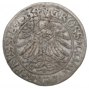 Sigismund I the Old, Groschen for Prussia 1534, Thorn