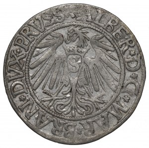 Germany, Preussen, Albrecht Hohenzollern, Groschen 1539, Konigsberg