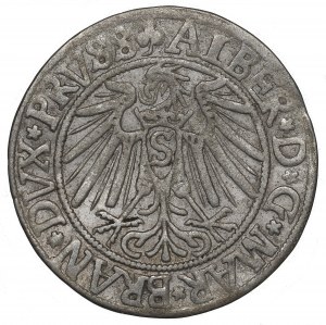 Germany, Preussen, Albrecht Hohenzollern, Groschen 1541, Konigsberg