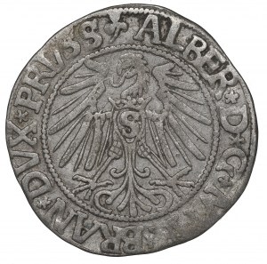 Germany, Preussen, Albrecht Hohenzollern, Groschen 1543, Konigsberg