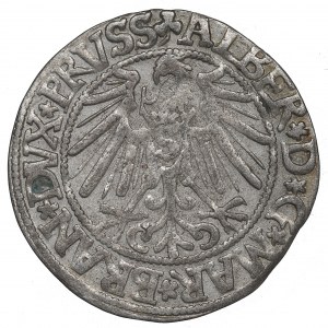 Germany, Preussen, Albrecht Hohenzollern, Groschen 1545, Konigsberg