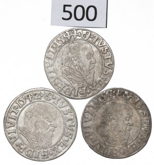 Germany, Preussen, Albrecht Hohenzollern, Lot of groschen 1542-44