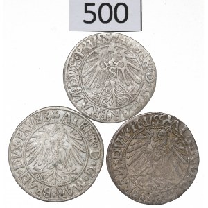Germany, Preussen, Albrecht Hohenzollern, Lot of groschen 1542-44