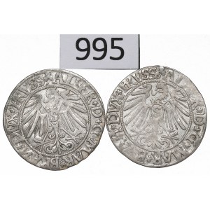 Germany, Preussen, Albrecht Hohenzollern, Lot of groschen 1544