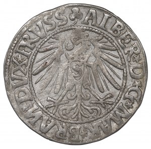 Germany, Preussen, Albrecht Hohenzollern, Groschen 1545, Konigsberg