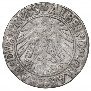 Germany, Preussen, Albrecht Hohenzollern, Groschen 1543, Konigsberg