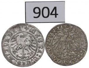 Sigismund I the Old and Sigismund II Augustus, Half-penny set