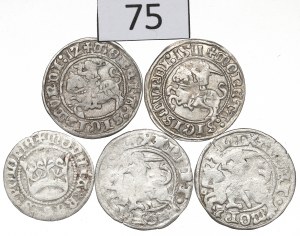Alexander Jagiellon and Sigismund I the Old, Half-penny set