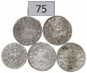 Alexander Jagiellon and Sigismund I the Old, Half-penny set