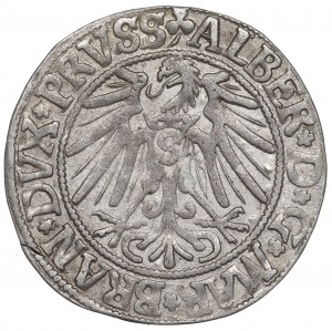 Germany, Preussen, Albrecht Hohenzollern, Groschen 1543, Konigsberg