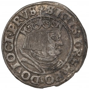 Sigismund I the Old, Groschen 1532, Thorn