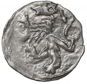 Silesia, George of Podebrad, Halerz without date, Klodzko