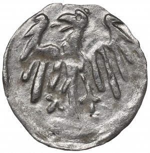 Silesia, George of Podebrad, Halerz without date, Klodzko