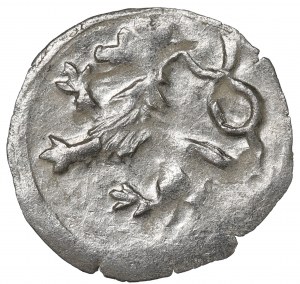 Silesia, George of Podebrad, Halerz without date, Klodzko