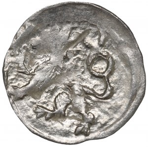 Silesia, George of Podebrad, Halerz without date, Klodzko