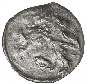Silesia, George of Podebrad, Halerz without date, Klodzko