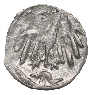 Silesia, George of Podebrad, Halerz without date, Klodzko