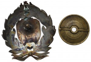 Badge of the 29th Kaniowski Rifle Regiment - copy