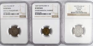 A set of half-tracks and a brace of NGC slabs