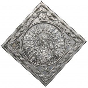 II RP, Klip 10 zloty 1934 Rifleman's Eagle - copy