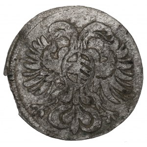 Śląsk pod panowaniem Habsburgów, Greszel 1697, Brzeg