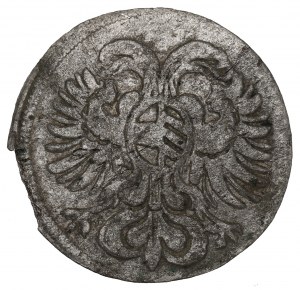 Silesia under Habsburg rule, Greszel 1697, Brzeg