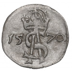 Sigismund II Augustus, 2 denarii 1570, Vilnius