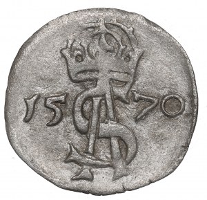 Sigismund II Augustus, 2 denarii 1570, Vilnius