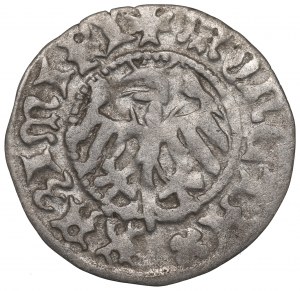 Casimir the Jagellon, Halfgroat without date, Cracow