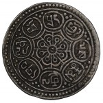 查看相似的