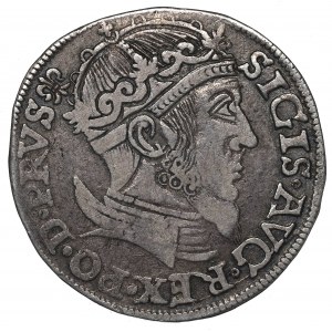 Sigismund II Augustus, 3 Groschen 1557, Danzig