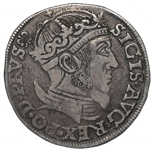 Sigismund II Augustus, 3 Groschen 1557, Danzig