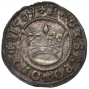 Zygmunt I Stary, Półgrosz 1509, Kraków