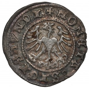 Zygmunt I Stary, Półgrosz 1509, Kraków