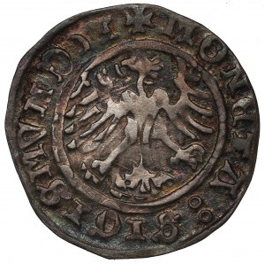 Sigismund I the Old, Halfgroat 1510, Cracow