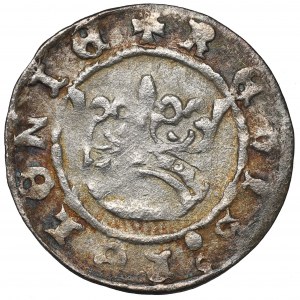 Sigismund I, Halfgroat w/d Cracow