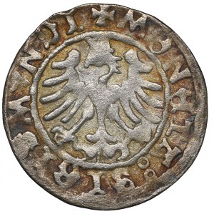 Sigismund I, Halfgroat w/d Cracow